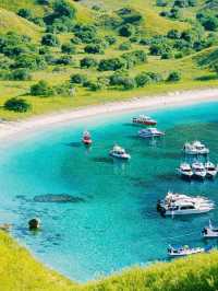 印尼🇮🇩科莫多島繽紛色彩