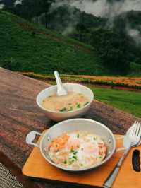 แนะนำโฮมสเตย์ชมทะเลหมอกที่ห้วยกุ๊บกั๊บ #เชียงใหม่