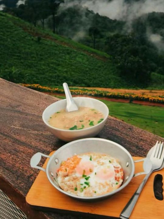 แนะนำโฮมสเตย์ชมทะเลหมอกที่ห้วยกุ๊บกั๊บ #เชียงใหม่