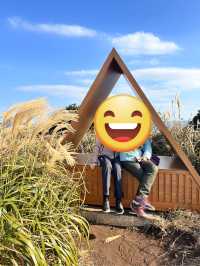 濟州島東岸-涉地可支