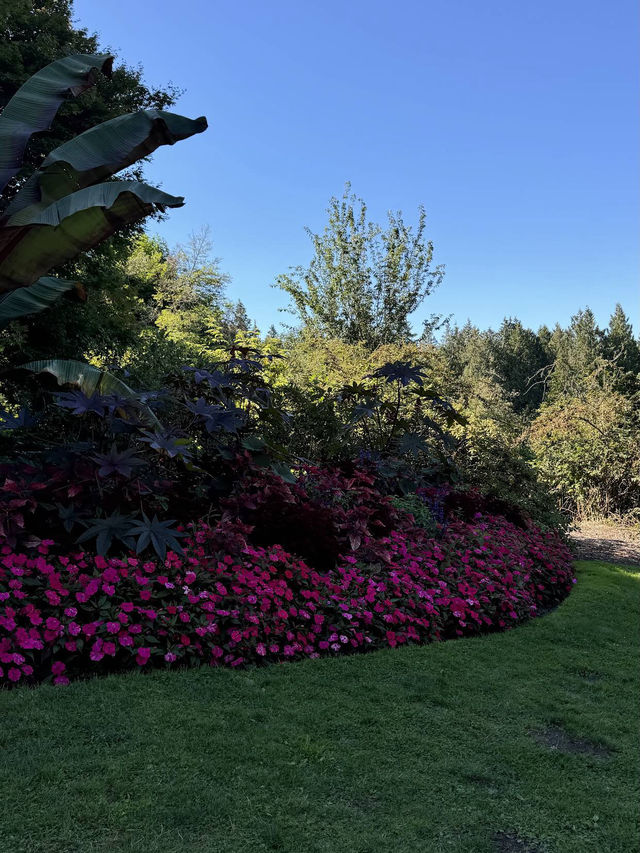 Queen Elizabeth Park