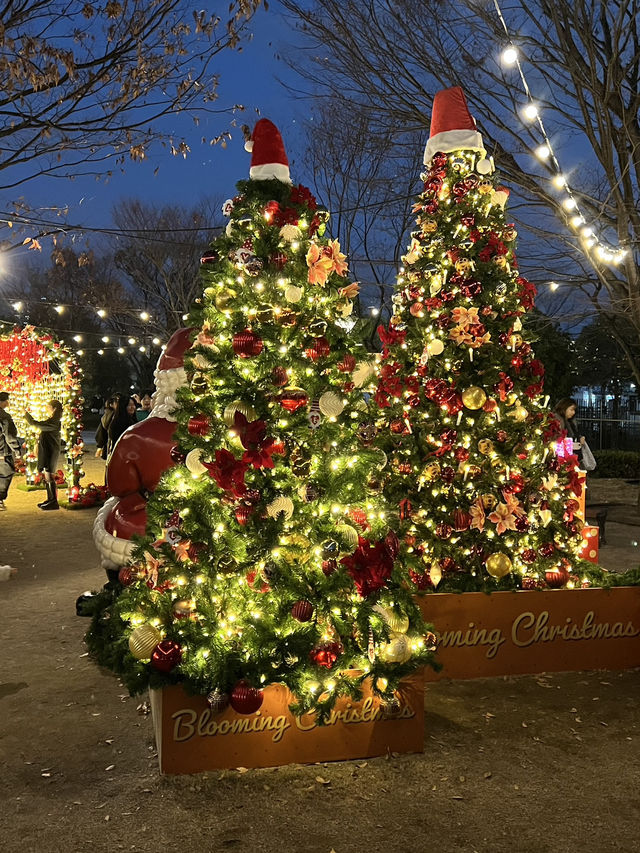 Christmassy Autumn in Noritake Garden, Nagoya 🍁🎄 Christmassy Autumn in Noritake Garden, Nagoya 🍁🎄