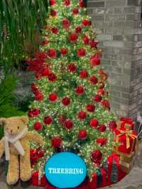 겨울 숲의 온기를 머금은 한 장면 ✨, 트리브링