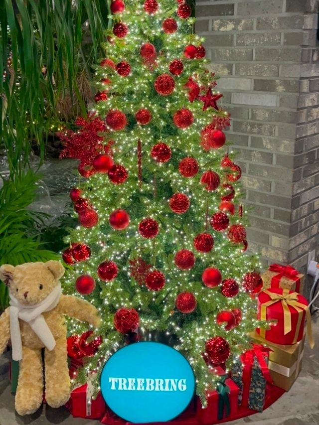 겨울 숲의 온기를 머금은 한 장면 ✨, 트리브링 겨울 숲의 온기를 머금은 한 장면 ✨, 트리브링