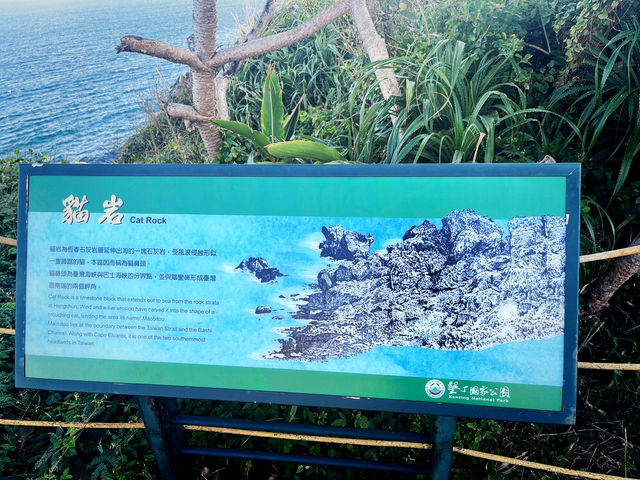 🎄 Festive Stroll: Recharge at Maobitou Park 🎄 Festive Stroll: Recharge at Maobitou Park