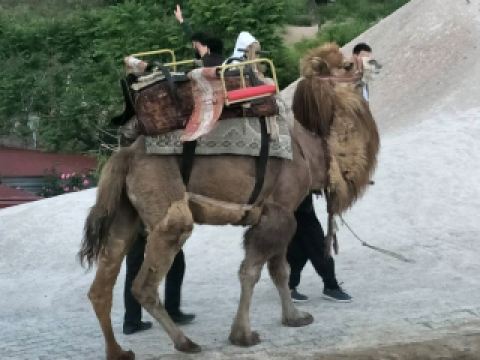 Camel Rock: The Iconic Landmark of Cappadocia