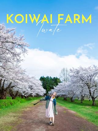 [Iwate Prefecture, Koiwai Farm] The entrance fee is only 800 yen, but everything is so generous! Japan's largest farm was exceptionally beautiful in spring 🌸🐄