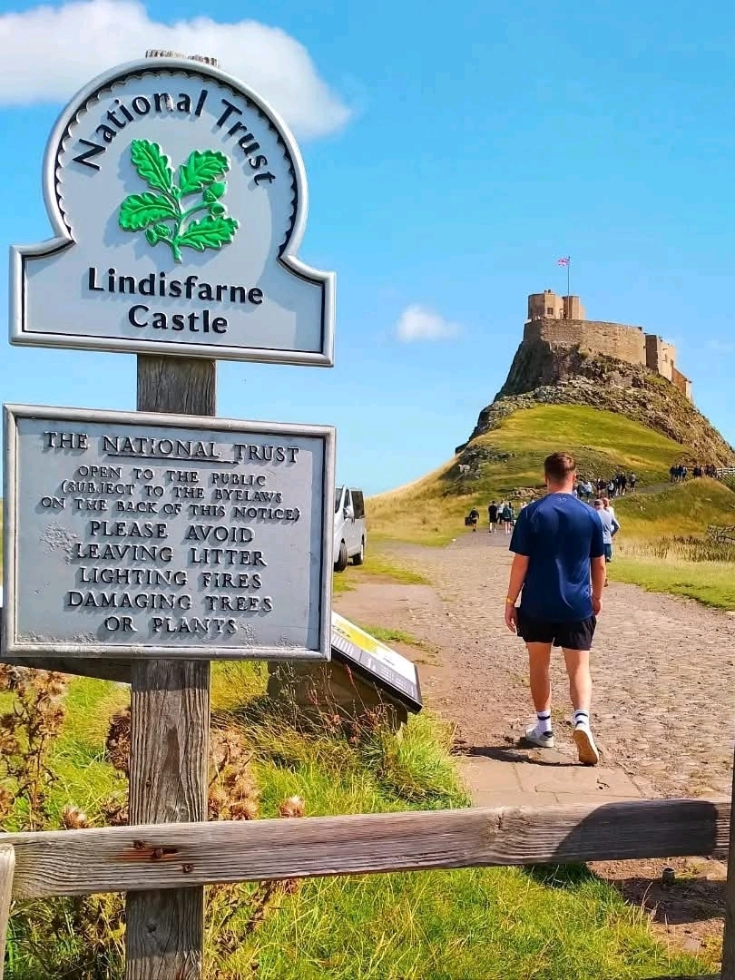 Holy Island Nature Unveiled
