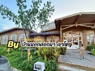 A cafe in the city, but with an atmosphere like being in the countryside.