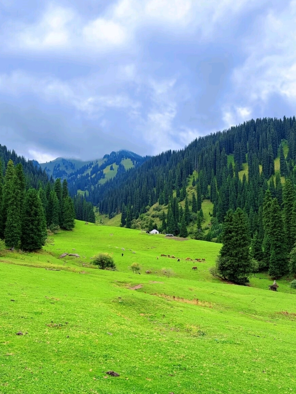 The “Overrated” Part of Nalati Grassland