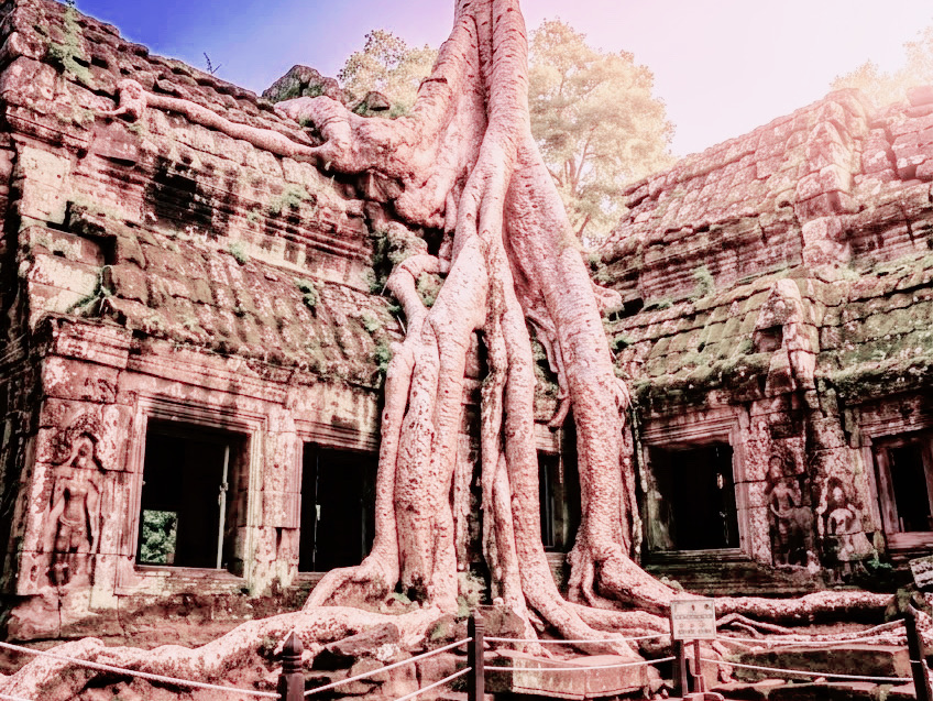 Returning to the timeless heart of Angkor