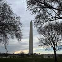 Strolling the Streets of D.C.