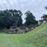A memorable Mayan civilization and jungle experience at Tikal @ Guatemala 