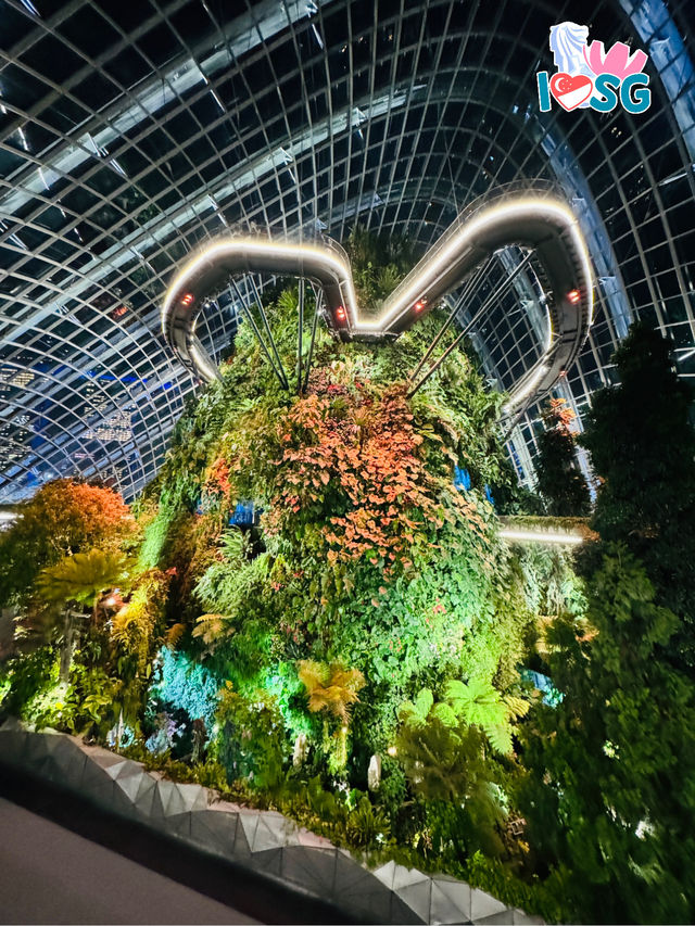 🇸🇬 A date at the Heart-shaped suspended sky walk