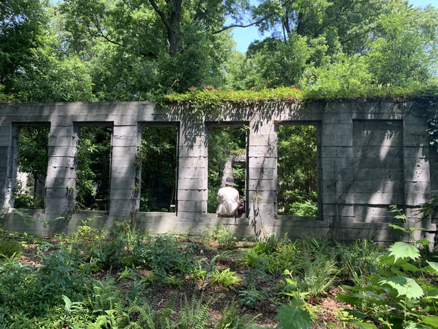 布魯克林植物園