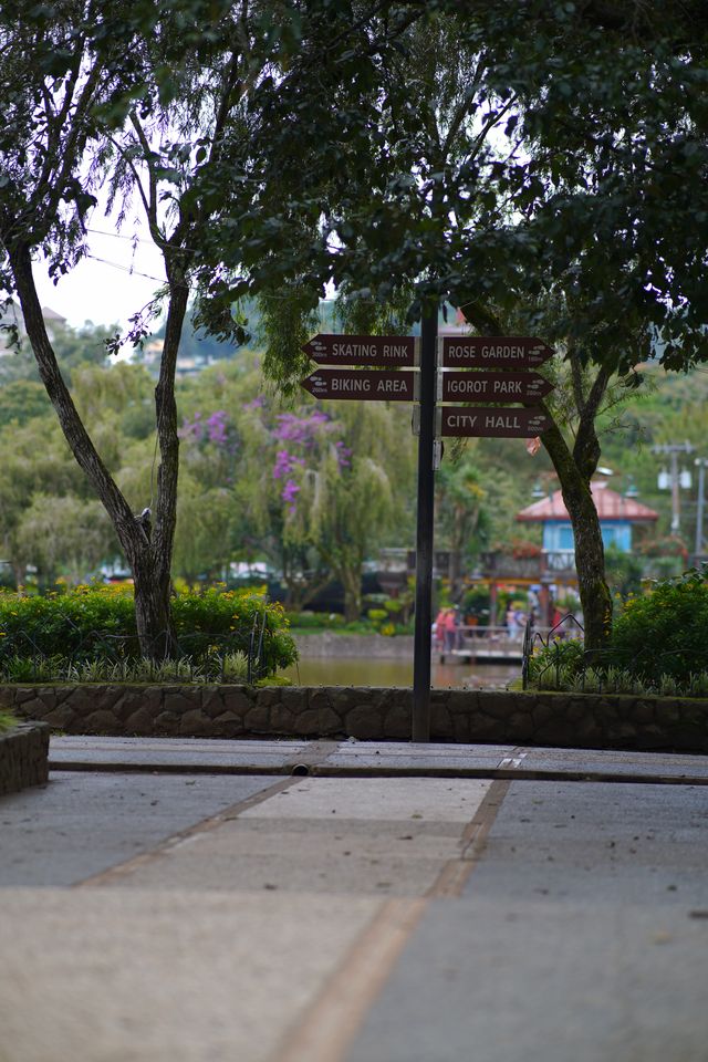  Late Afternoon at Burnham Park, Baguio