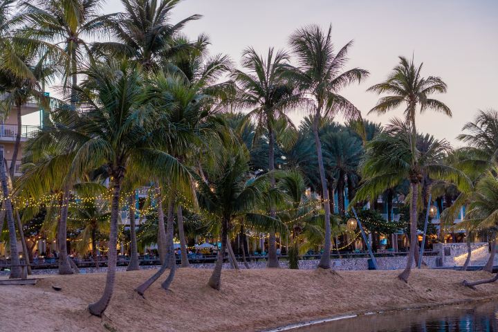 Cemetery Beach, Turtle Encounters, Soca Fitness, and Sunset