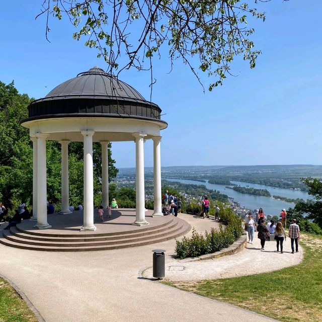 Rüdesheim Hike