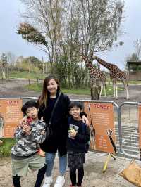 英國野生動物園酒店