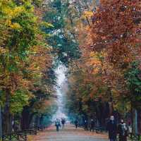 Central Park Simion Bărnuțiu in autumn 🇷🇴