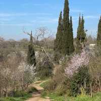 Nature lover, don’t miss this!