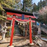 《新倉富士淺間神社》🌸絕美的櫻花，配著壯麗的富士山🗻