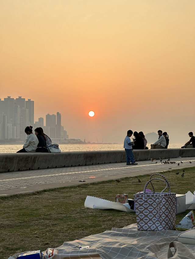 【香港景點】西九龍文化區：日落美景，享受假日樂趣！