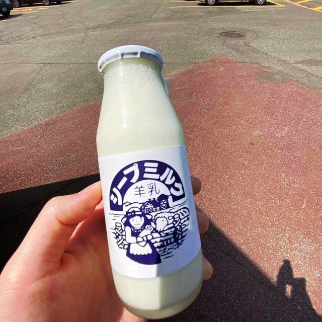 🐑羊之丘展望台🐑山頂觀景台看綿羊🐏品嚐鮮羊奶