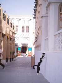 One day in Doha