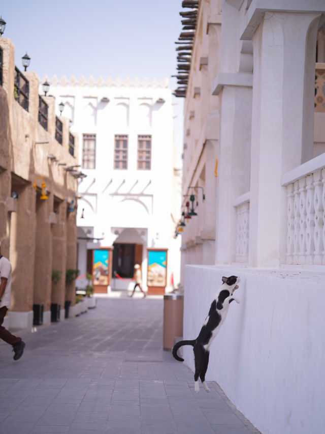 One day in Doha