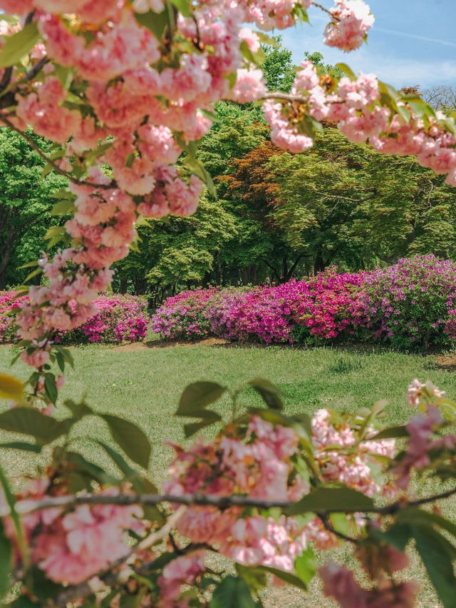 미사리경정공원