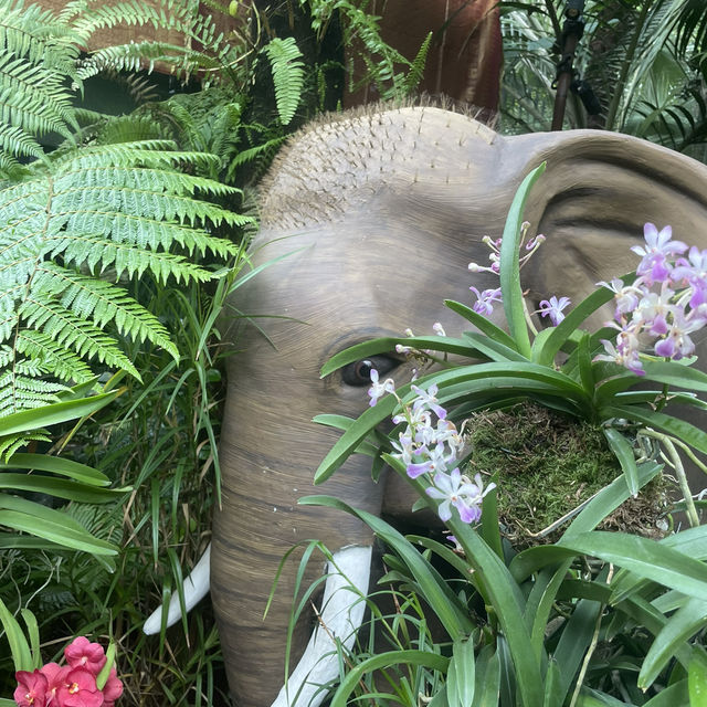 Cloud forest - Singapore 