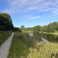 A piece of tranquility right next to the M6