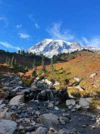 가을에는 마운트 레이니어 국립공원(Mount Rainier National Park)을 방문하세요
