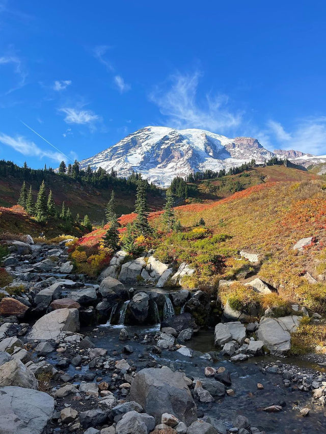 가을에는 마운트 레이니어 국립공원(Mount Rainier National Park)을 방문하세요