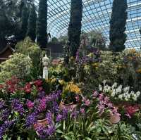 A floral Paradise 