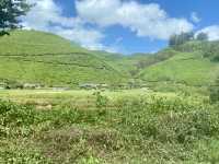 Munnar’s Cloud-Covered Hills 