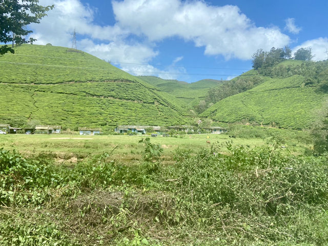 Munnar’s Cloud-Covered Hills 