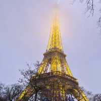 Paris you beauty 