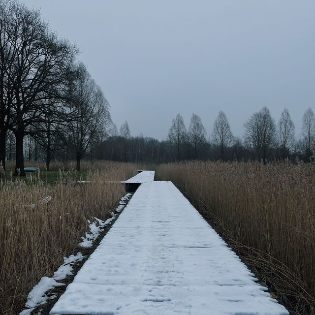 Eindhoven: Where Innovation Meets Art