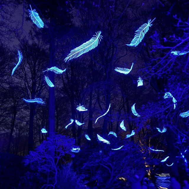 STOURHEAD CHRISTMAS LIGHTS!🎄