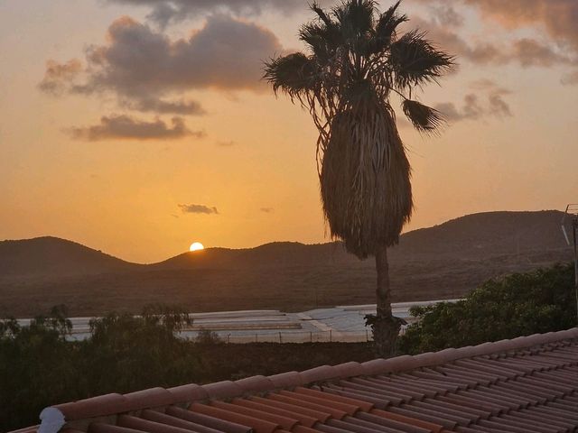Day Trip Itinerary for Tenerife Island