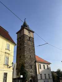🇨🇿Plzeň🍺