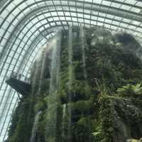 Gardens by the Bay: Singapore’s Futuristic Green Escape