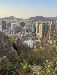 🌆🌿 Seoul from Above: N Seoul Tower & Namsan Park