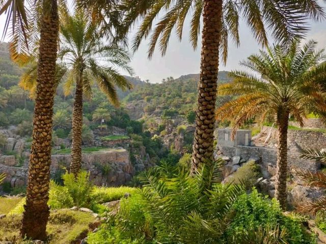 "Discover Oman: Where Desert Meets the Sea and Mountains Touch the Sky! 🇴🇲✨"