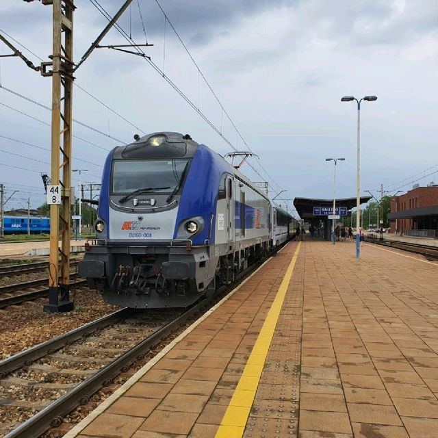 Train Journey Through Poland: Poznań, Gniezno & Malbork