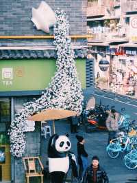 🐼 Chengdu Transit: The Ultimate Panda Tour 🐼