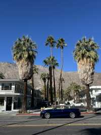 3 days in Palm Springs