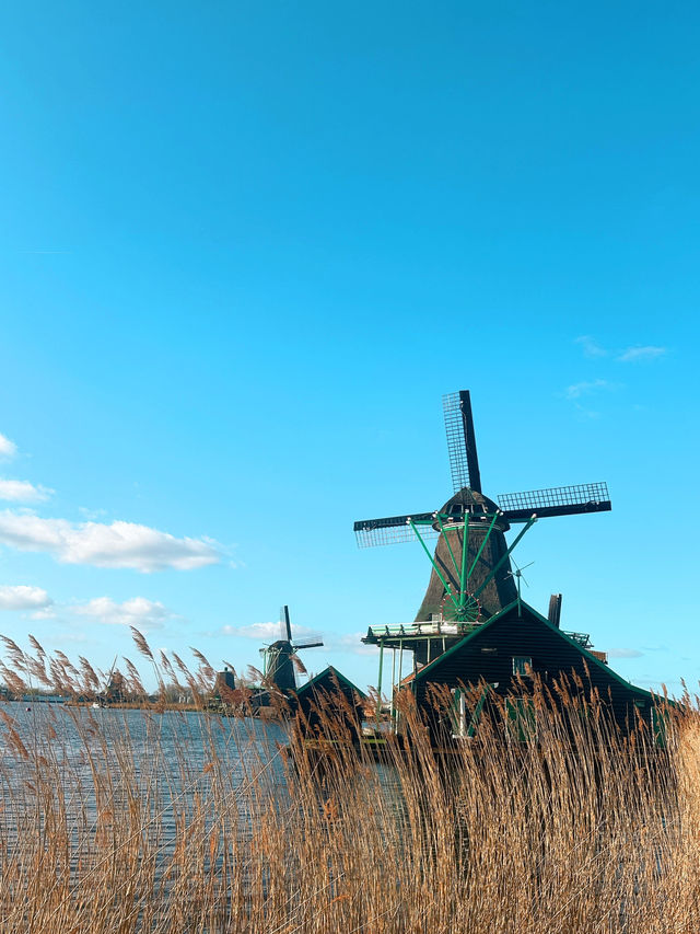 在运河边慢下来 | Amsterdam, Netherlands 